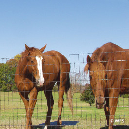 Bekaert 2x4 Horseman® 12½-14 Gauge ZA Black, 16-60-2, 100'