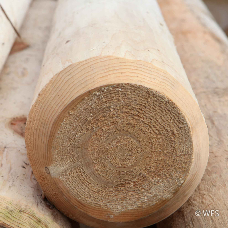 Cedar Peeled Post, 5-6" x 9'