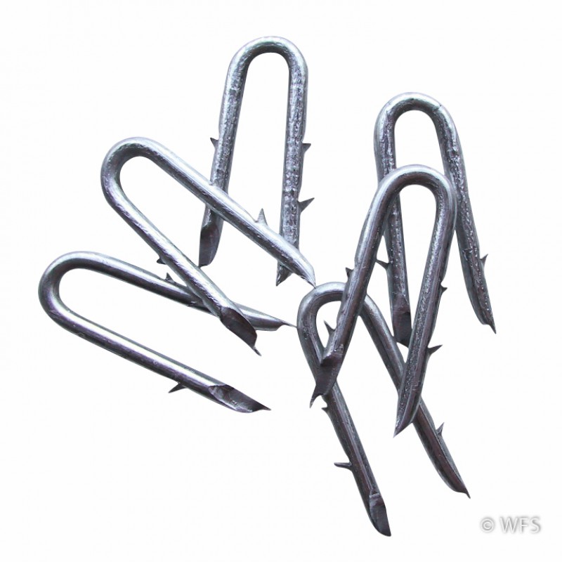 Long Double Barbed Staples, ZA Coated, per pound