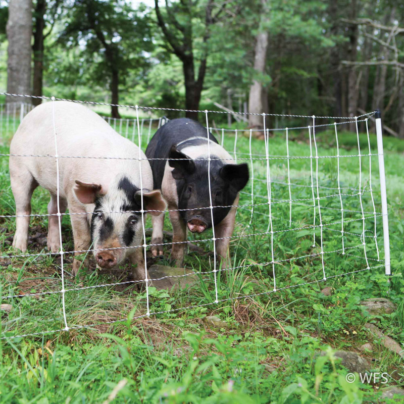 Pig QuikFence™ 6/30/12 x 100'