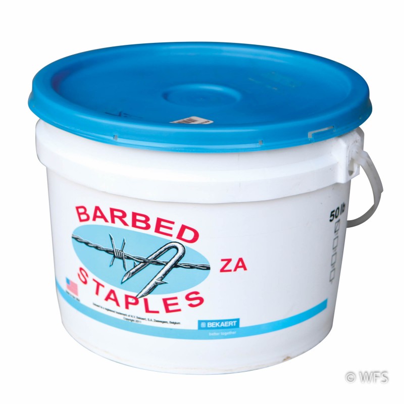Short Barbed Staples, ZA Coated, 50 lb. tub