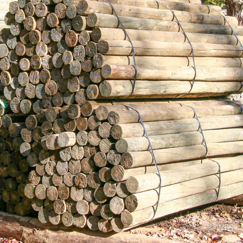 Southern Yellow Pine, PT 5-6" x 12'