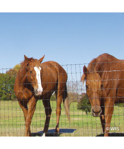 Bekaert 2x4 Horseman® 12½-14 Gauge ZA Black, 16-60-2, 100'