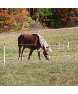 Horse QuikFence™ 4/48/24 x 100'