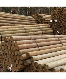 Premium Lodge Pole Pine, PT 3-4" x 7'
