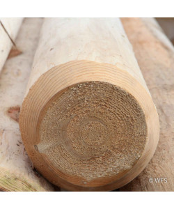 Cedar Peeled Post, 5-6" x 9'