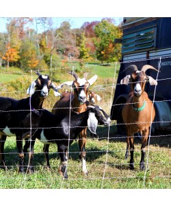 Quick Ground ElectroNet® 9/35/12 x 164'