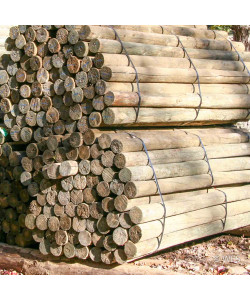 Southern Yellow Pine, PT 6-7" x 8' Faced