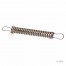 Stainless Steel P-Spring