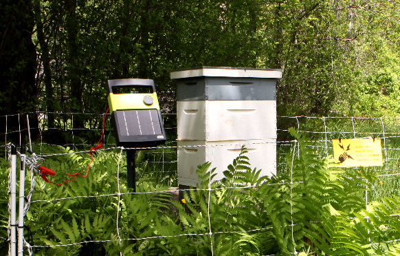 Beehive Protection from Wellscroft