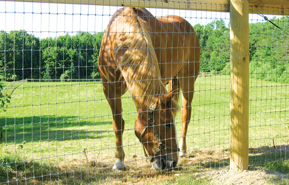 Horse-Tuff Fixed Knot Fence - The Superior Horse Fence