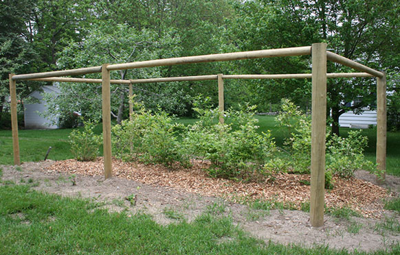Small Fruit Fencing from Wellscroft