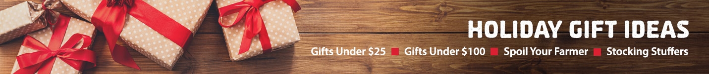 Holiday Gifts Under $100
