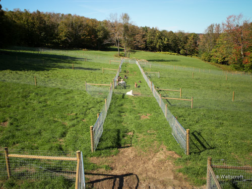 How To Build A Wire Fence On A Steep Slope